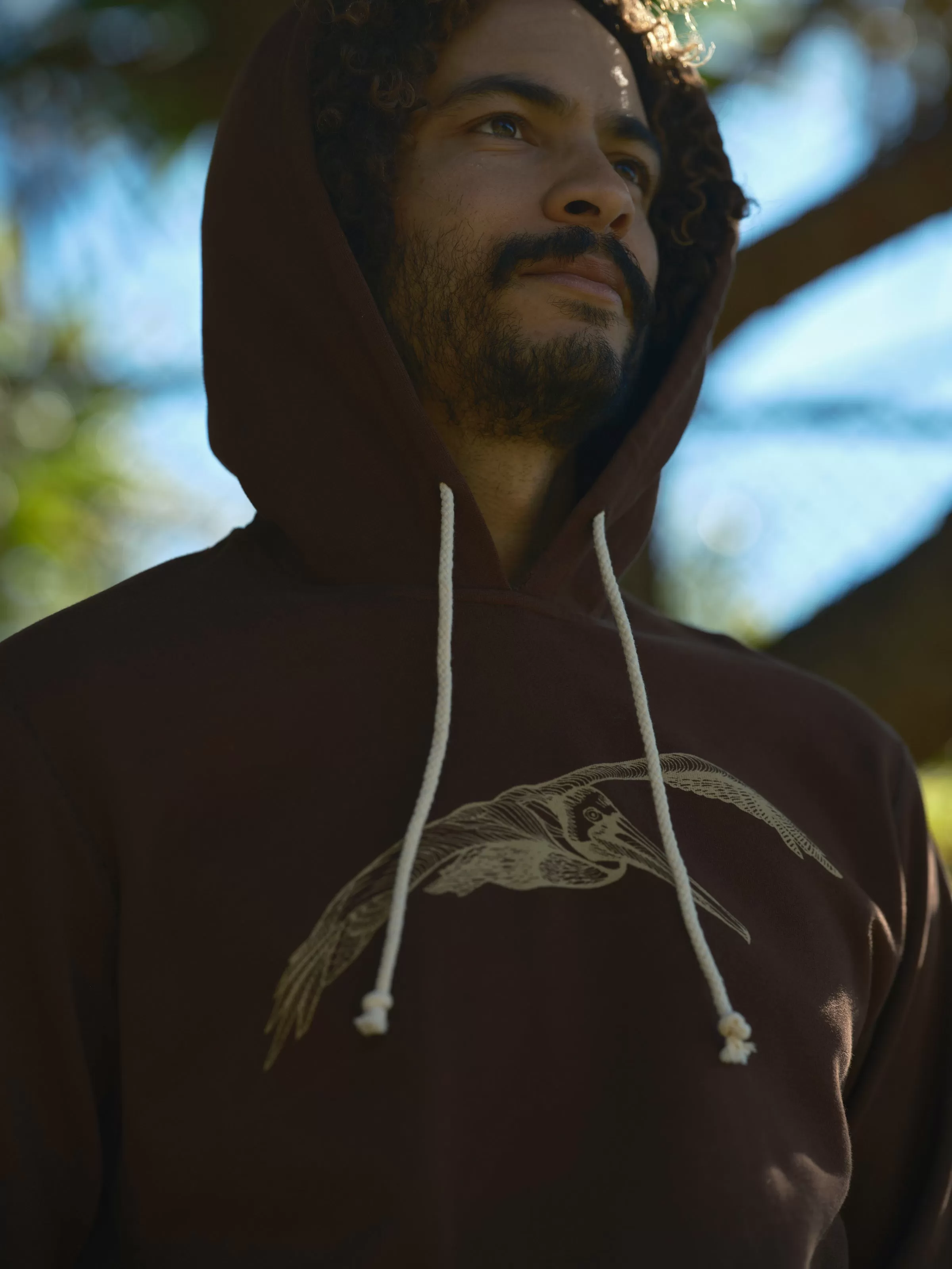 Pelican Pullover